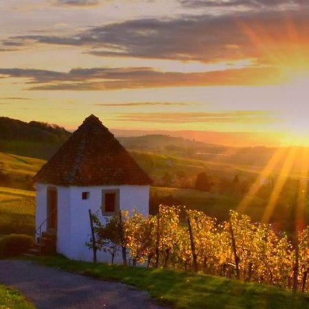 Ferienwohnung Vogesenblick Mullheim  Luaran gambar