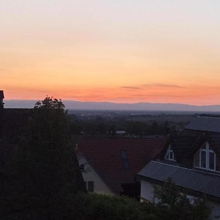 Ferienwohnung Vogesenblick Mullheim  Luaran gambar