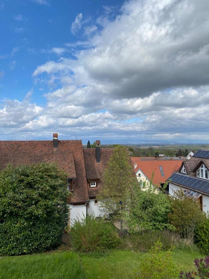Ferienwohnung Vogesenblick Mullheim  Luaran gambar